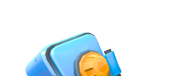 Case